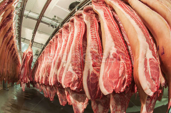 свежие мяса холодно Cut завода свиней Сток-фото © artfotoss