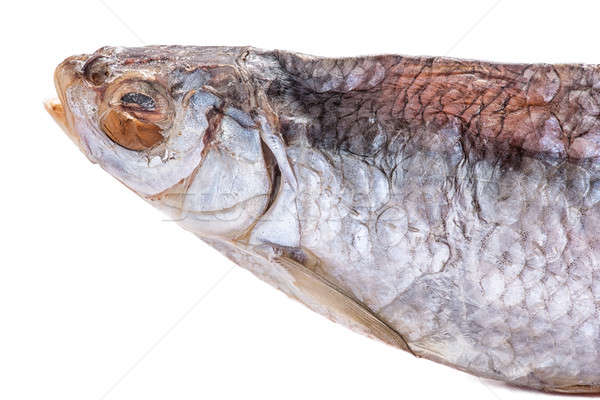 сушат рыбы белый продовольствие группа мяса Сток-фото © artfotoss
