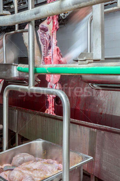 butcher in meat industry interior Stock photo © artfotoss