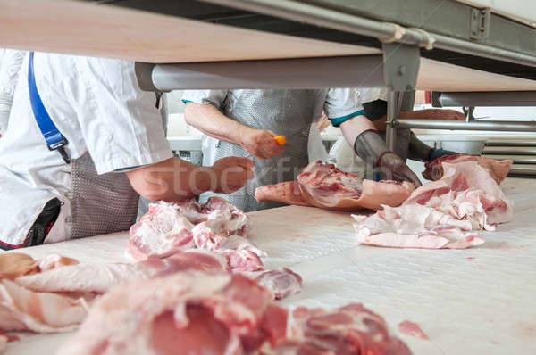 Porc viande alimentaire industrie travaux [[stock_photo]] © artfotoss