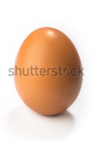 яйцо белый изолированный птица яйца Сток-фото © artfotoss