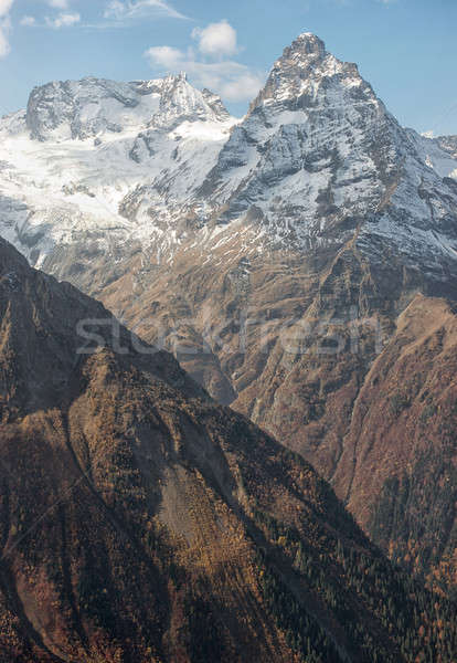 Dombai. Scenery of rockies in Caucasus region in Russia Stock photo © artfotoss