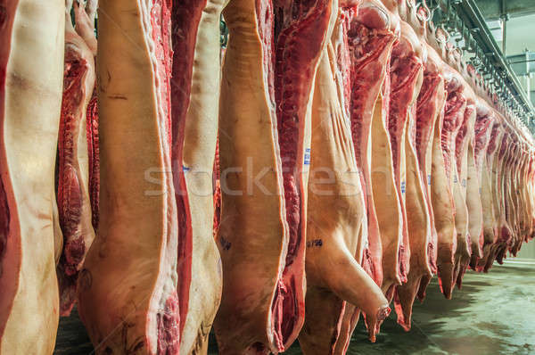 Stock photo: Fresh meat in a cold cut factory