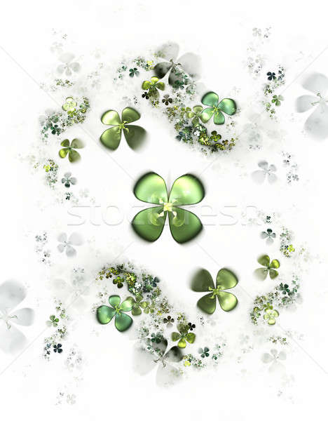 four leafed clovers on white,  shamrock Stock photo © Artida