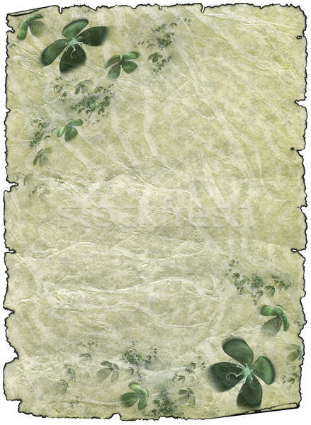 old rough antique parchment paper scrolls with shamrock Stock photo © Artida