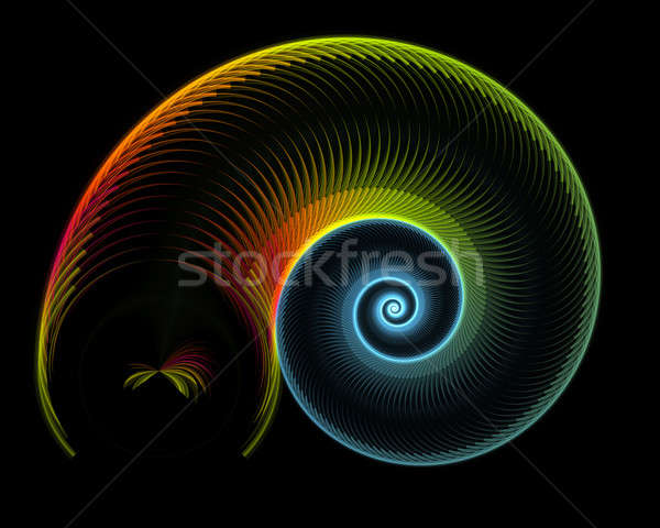 colorful nautilus Stock photo © Artida