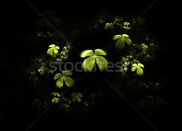 Shamrock, four leafed clover on black  Stock photo © Artida
