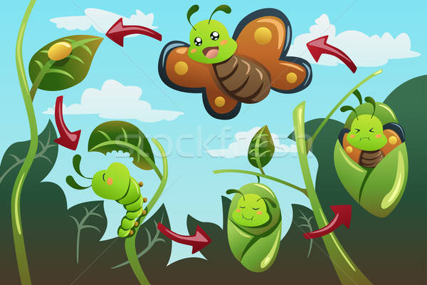 Vida ciclo borboleta animal desenho desenho animado Foto stock © artisticco