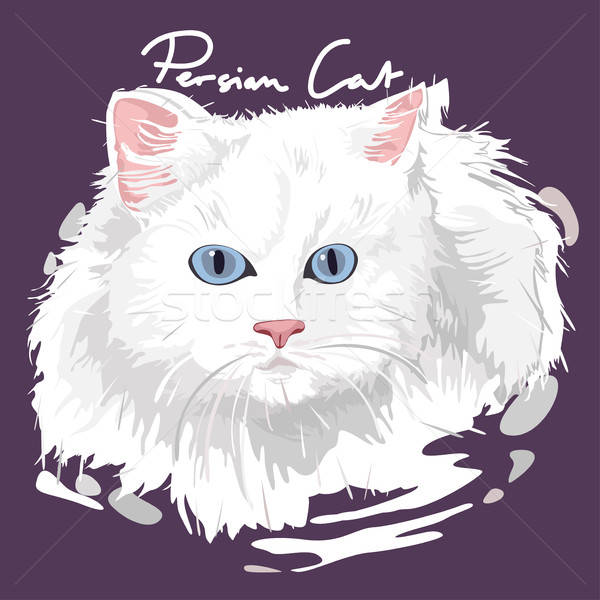 Gato persa pintura cartaz retrato animal desenho animado Foto stock © artisticco