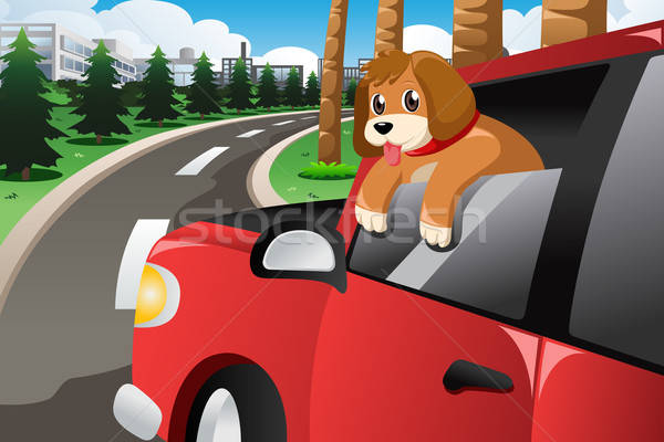 Dog Sticking His Face Out of the Car Window Stock photo © artisticco