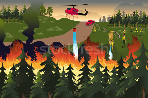 Forest Firefighters Stock photo © artisticco