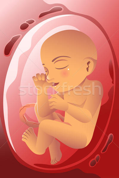 Bebê útero desenho gravidez desenho animado vetor Foto stock © artisticco