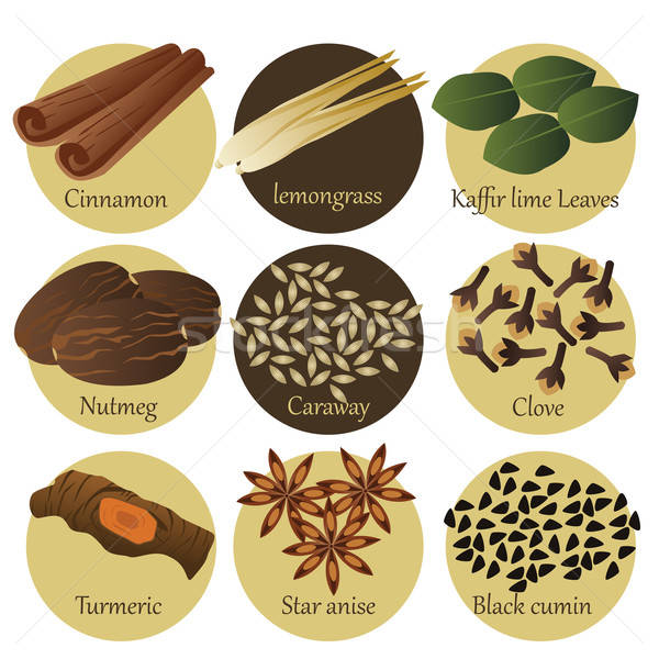 Herb ikona ikona żywności gotowania cartoon Zdjęcia stock © artisticco