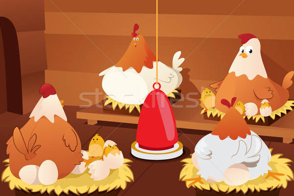 Chicken Hatching Eggs  Stock photo © artisticco