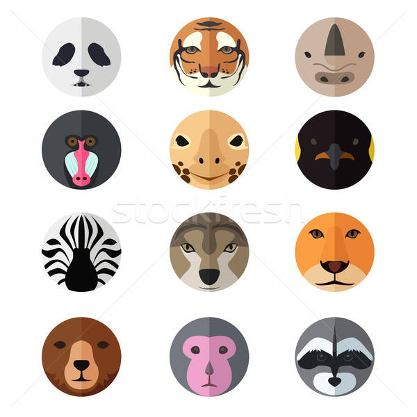 Animal Head icons Stock photo © artisticco