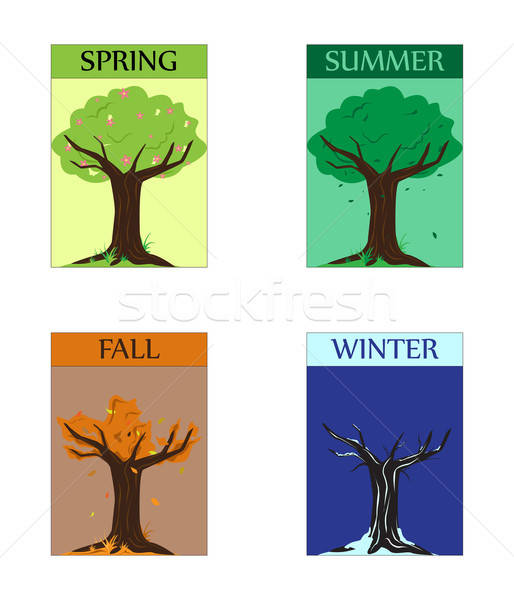 Mevsimlik ağaçlar ayarlamak four seasons yaz kış Stok fotoğraf © artisticco