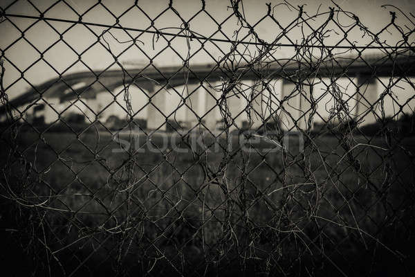 Puente puentes puesta de sol brisbane queensland Foto stock © artistrobd