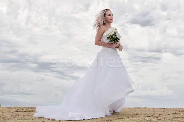 Novia rock playa nueva gales del sur hermosa Foto stock © artistrobd