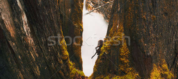 Knyvet Falls in Cradle Mountain Stock photo © artistrobd