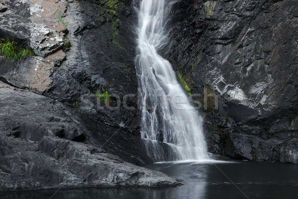 Cedar Creek Falls in Mount Tamborine Stock photo © artistrobd