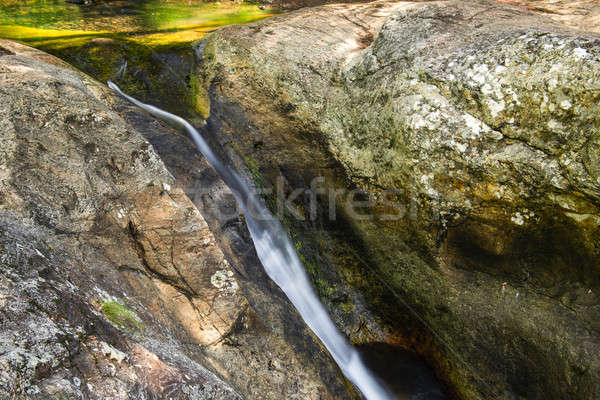 водопада Квинсленд Австралия лист путешествия всплеск Сток-фото © artistrobd