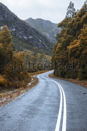 Road and mountains in the Tasmanian countryside Stock photo © artistrobd