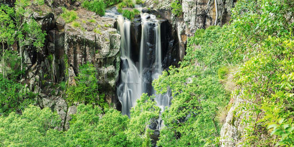 Queensland Australia foglia bellezza viaggio cascata Foto d'archivio © artistrobd