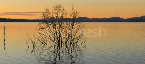 Lago queensland giorno nubi estate Foto d'archivio © artistrobd