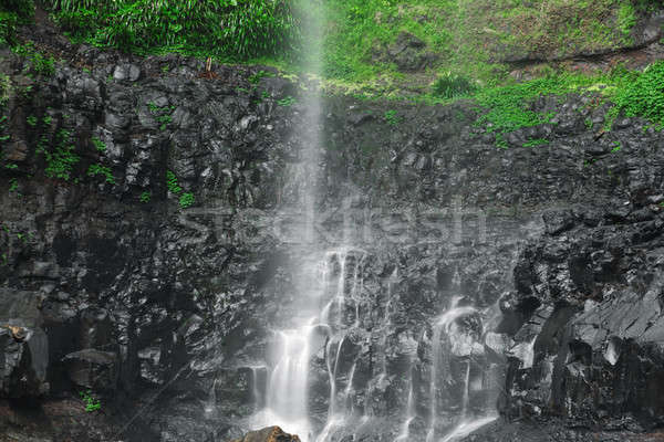 Purlingbrook Falls in Springbrook Stock photo © artistrobd