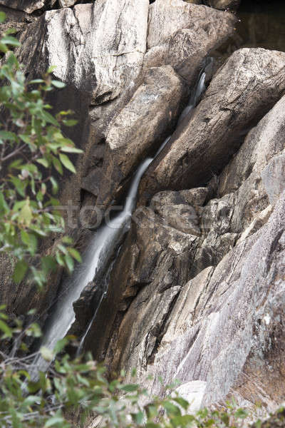 Gniazdo dzień zatoczka parku krajobraz wodospad Zdjęcia stock © artistrobd