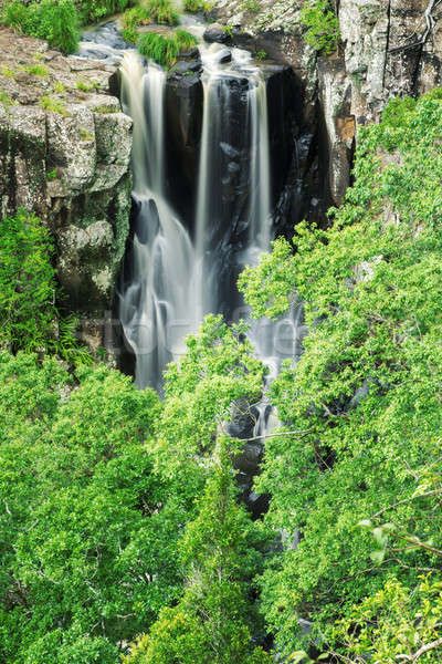 Queensland Australia foglia bellezza viaggio cascata Foto d'archivio © artistrobd