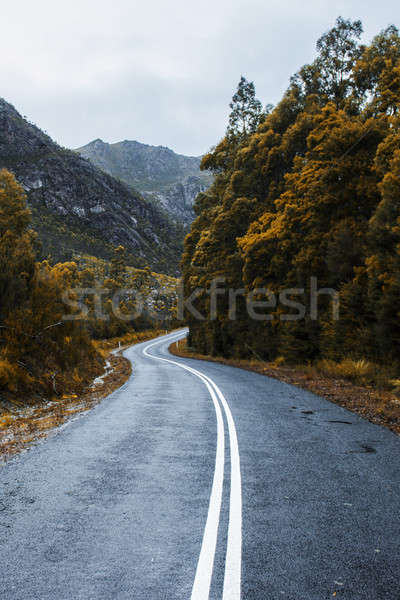 Road and mountains in the Tasmanian countryside Stock photo © artistrobd