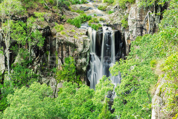Queensland Australien Blatt Schönheit Reise Wasserfall Stock foto © artistrobd