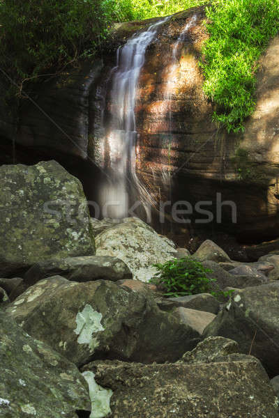 Sérénité soleil côte Australie forêt cascade [[stock_photo]] © artistrobd