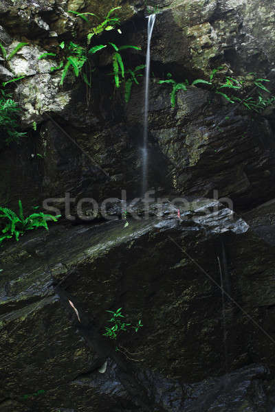 Cascada cascada brisbane queensland Australia agua Foto stock © artistrobd