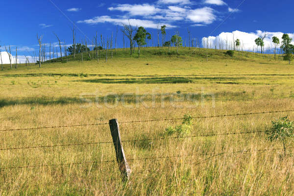 Outback agricultural and farming field. Stock photo © artistrobd