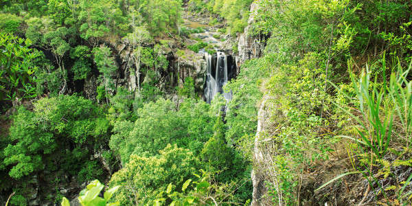 Queensland Australië blad schoonheid reizen waterval Stockfoto © artistrobd