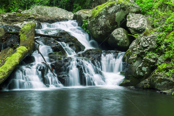 Belle cascade parc queensland Australie forêt [[stock_photo]] © artistrobd