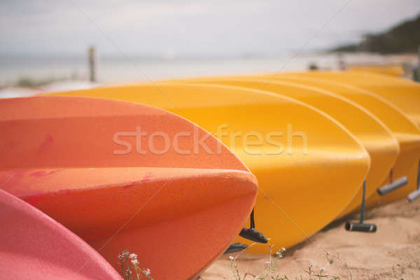Strand dag rij kleurrijk eiland water Stockfoto © artistrobd