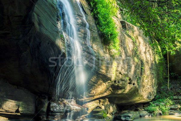 Serenidade luz do sol costa Austrália floresta cachoeira Foto stock © artistrobd