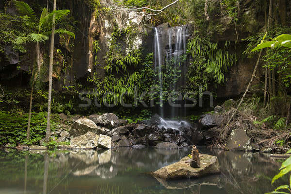 Curtis Falls Waterfall in Mount Tambourine Stock photo © artistrobd