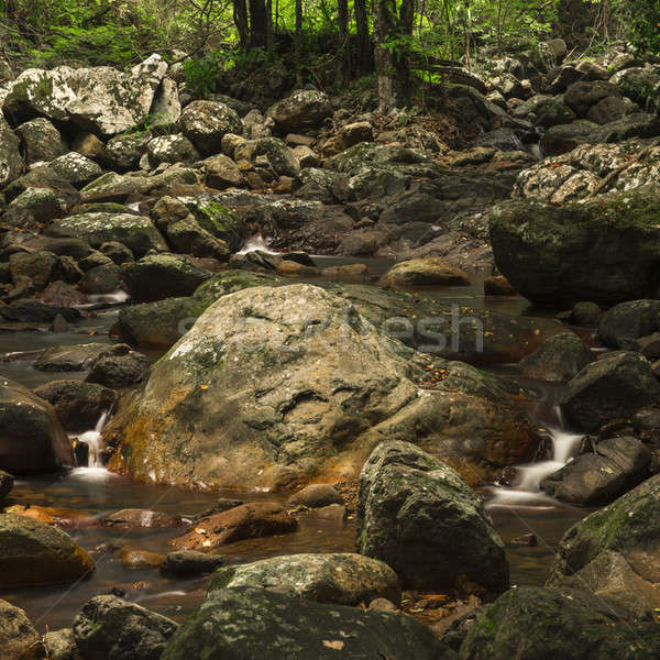 Natural Bridge Creek Stock photo © artistrobd