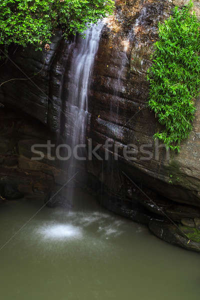 Sérénité soleil côte Australie forêt cascade [[stock_photo]] © artistrobd