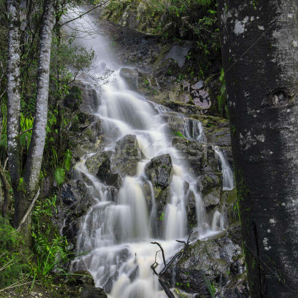 Waterfall in Cradle Mountain Stock photo © artistrobd