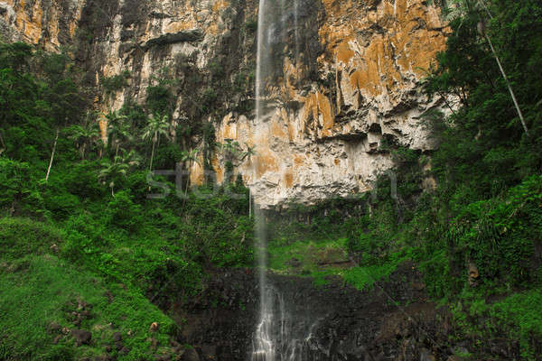 Purlingbrook Falls In Springbrook Stock Photo C Rob Downer