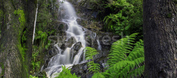 Waterfall in Cradle Mountain Stock photo © artistrobd