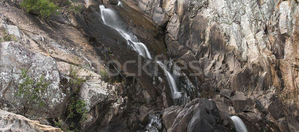 Nest Tag Bach Park Landschaft Wasserfall Stock foto © artistrobd