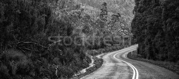 Road and mountains in the Tasmanian countryside. Black and white Stock photo © artistrobd