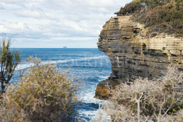 View of Devils Kitchen Beach, Tasmania Stock photo © artistrobd