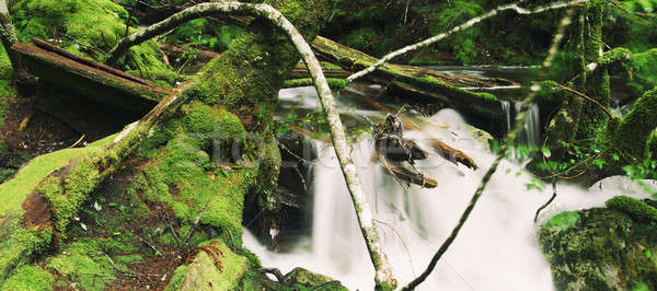 Culla montagna tasmania pesante precipitazioni acqua Foto d'archivio © artistrobd